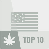 Die 10 besten USA Cannabissorten