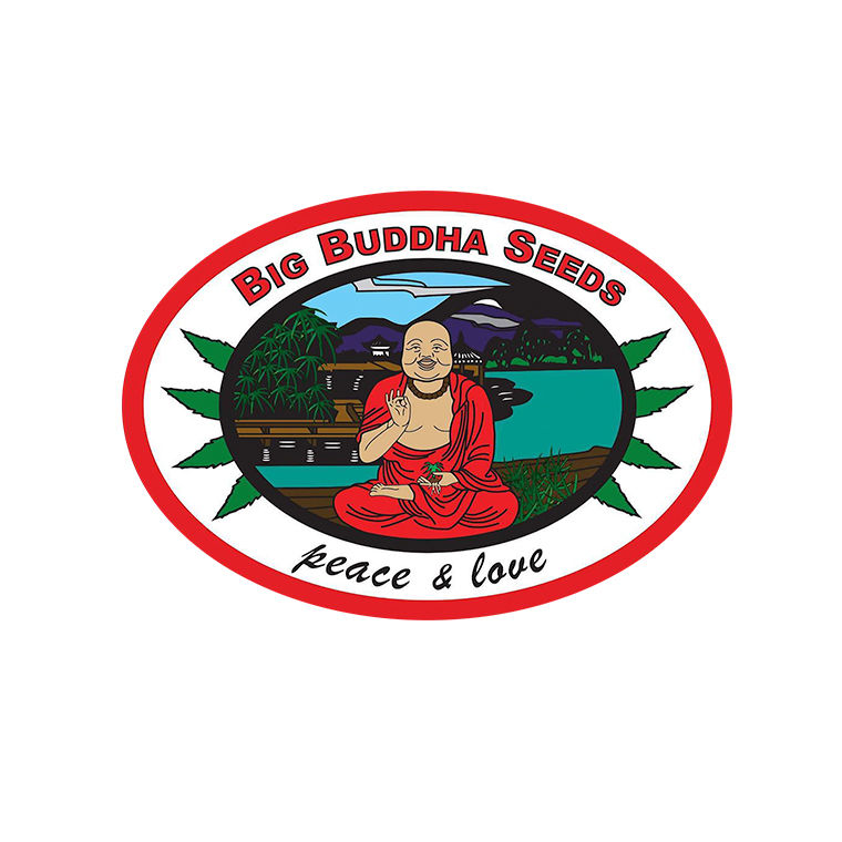 Big Buddha Seeds