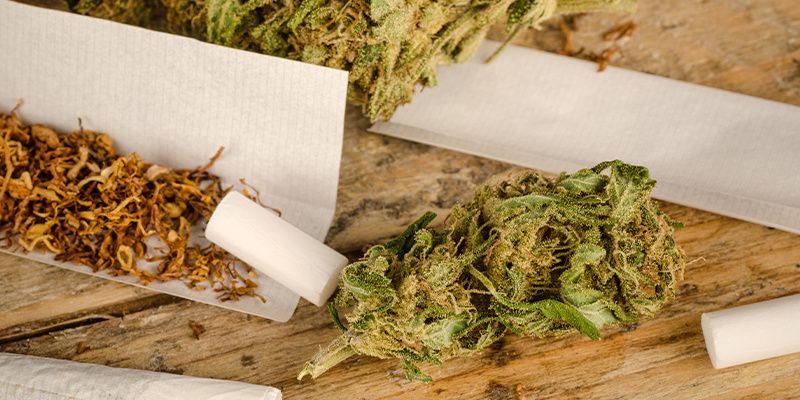 Tabak verstärkt die Wirkung von Cannabis