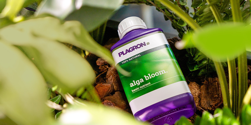 Alles kombinieren: Der ideale Nährstoffplan für den Bio-Anbau Alles kombinieren: Der ideale Nährstoffplan für den Bio-Anbau