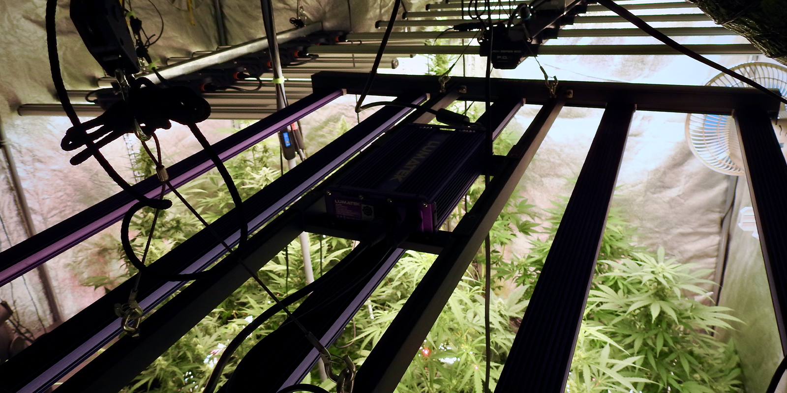 1. Überprüfe deine Umgebung