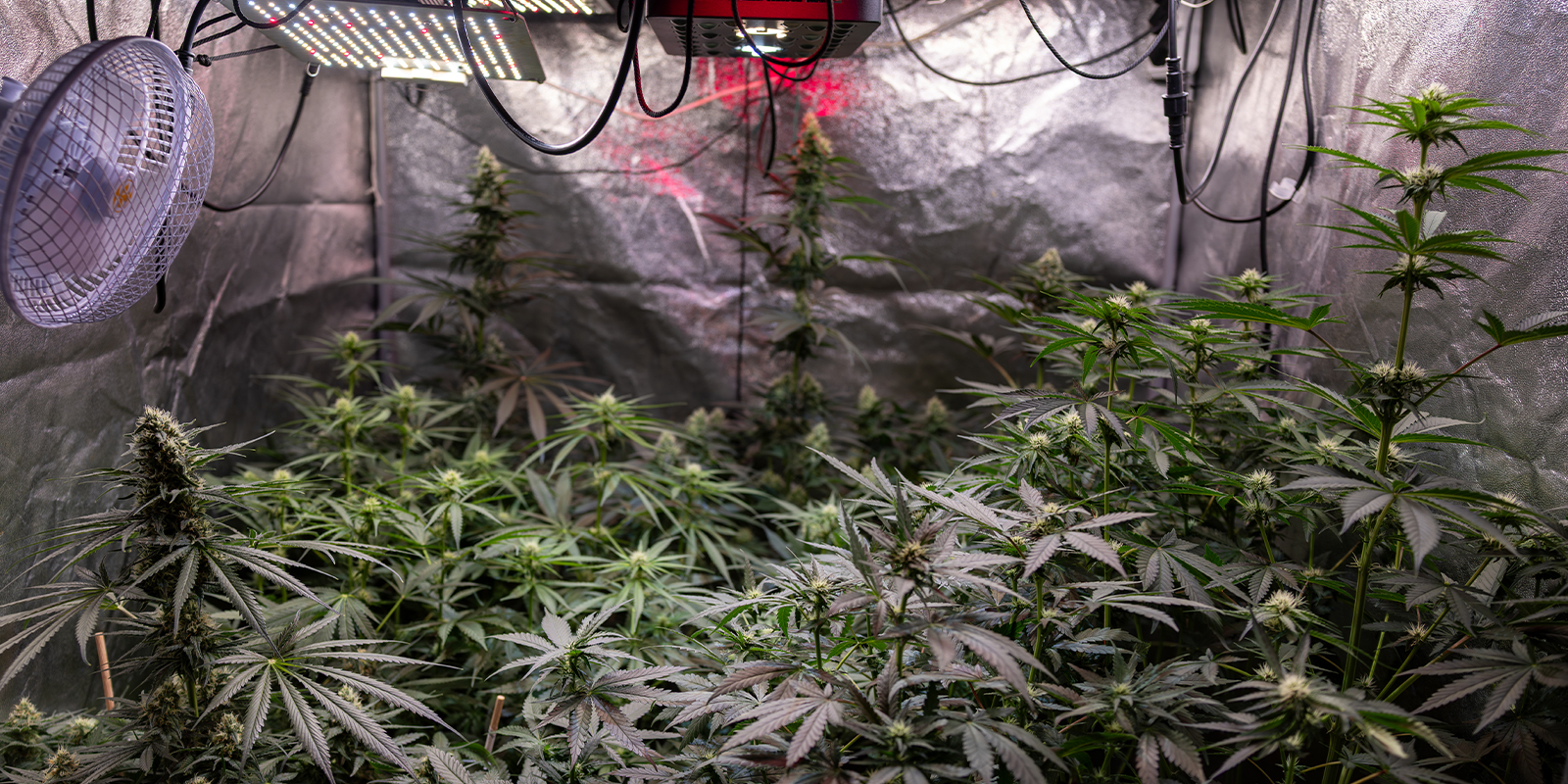 3. Nimm kleine, gezielte Anpassungen vor