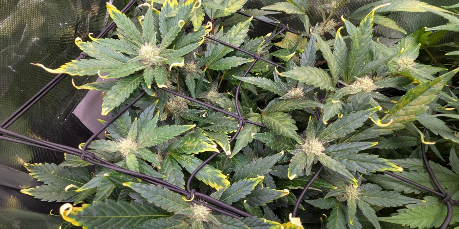 Wann du dir Sorgen machen solltest