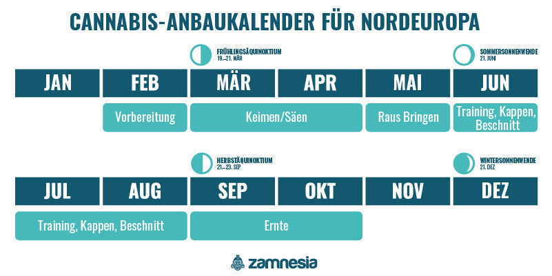 Cannabis-Anbaukalender Für Nordeuropa Cannabis-Anbaukalender für Nordeuropa