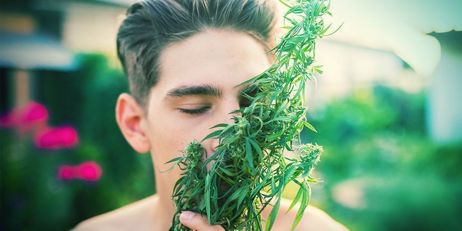 Was Du Sonst Noch Für Einen Indoor-grow Brauchen Könntest Was Du Sonst Noch Für Einen Indoor-grow Brauchen Könntest