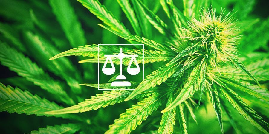 Legalit&auml;t Cannabis