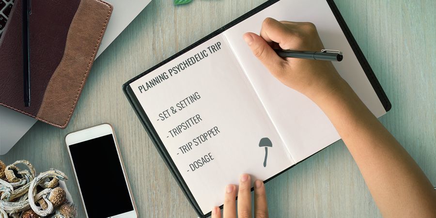 Plane Deine Psychedelische Erfahrung Plane Deine psychedelische Erfahrung