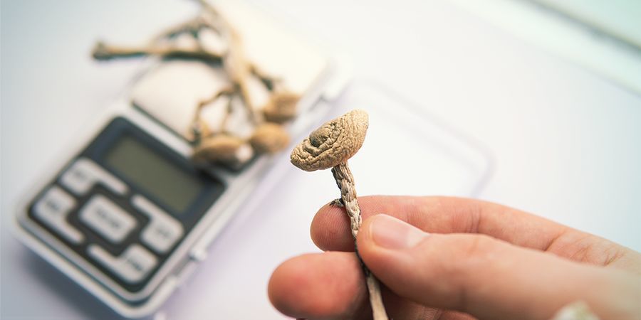 Was Kann Man Tun, Falls Man Eine Schlechte Psychedelische Erfahrung Hat? Was kann man tun, falls man eine schlechte psychedelische Erfahrung hat?