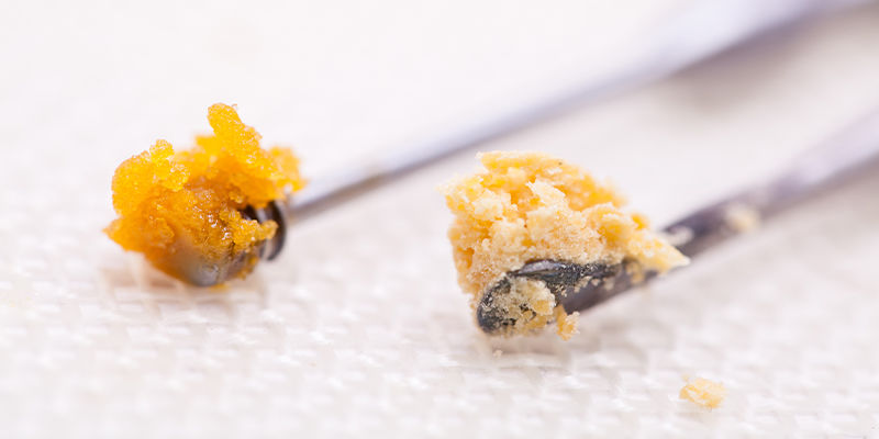 Live Resin Live Resin
