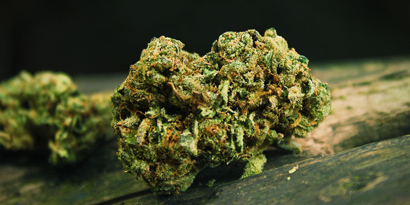 Was Ist Skunk? Was ist Skunk?