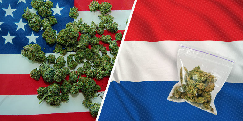 Wo Kam Die Skunk Her? Wo kam die Skunk her?