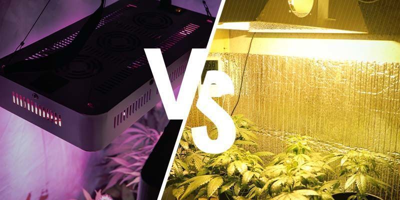 Sind LED-Grow-Lampen So Gut Wie HPS? Sind LED-Grow-Lampen so gut wie HPS?