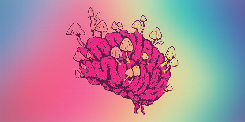 Moderne Erkenntnisse Über Die Auswirkungen Von Zauberpilzen Auf Das Gehirn Moderne Erkenntnisse über die Auswirkungen von Zauberpilzen auf das Gehirn