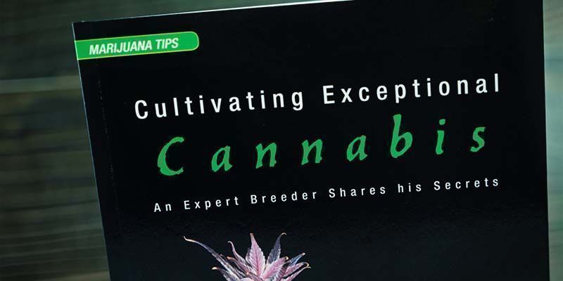 Cultivating Exceptional Cannabis Cultivating Exceptional Cannabis