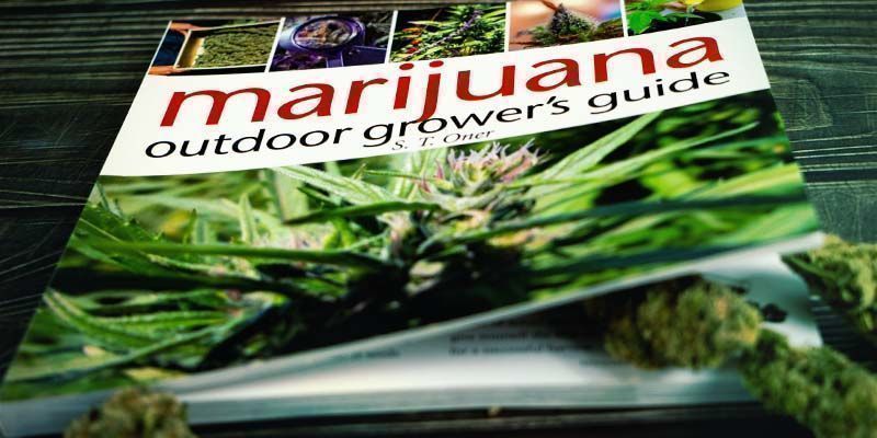 Marijuana Outdoor Grower's Guide Marijuana Outdoor Grower's Guide
