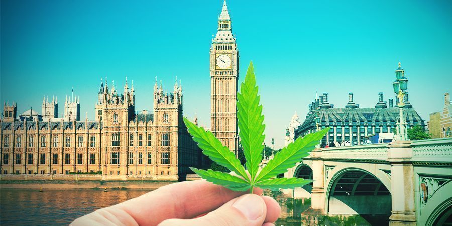 Cannabisanbau Im Britischen Klima Cannabisanbau Im Britischen Klima