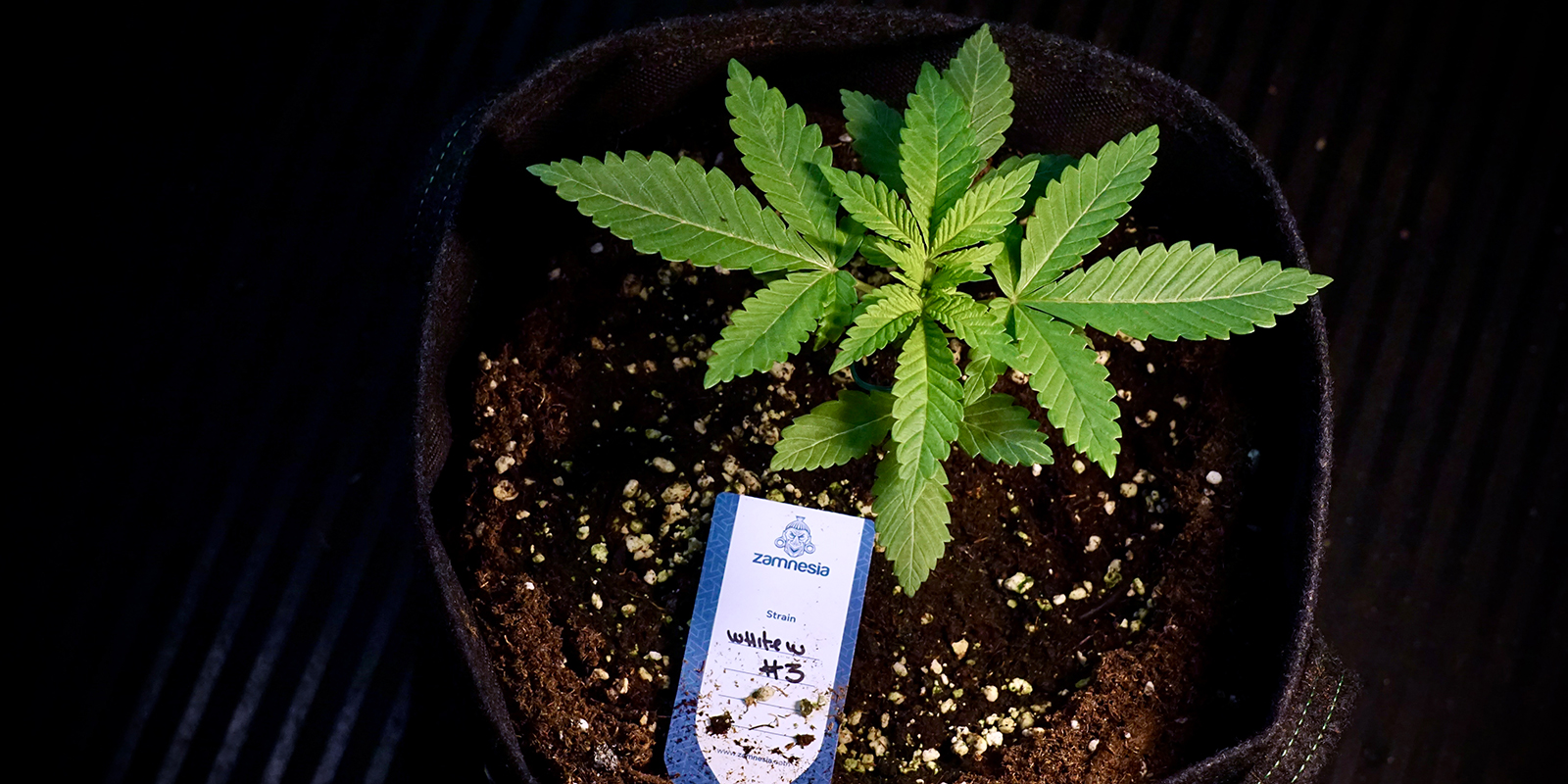 Praktische Tipps f&uuml;r Outdoor-Erfolg im UK