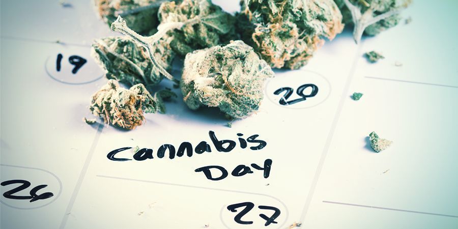 Wann Du Deine Cannabissamen Keimen Lassen Solltest Wann Du Deine Cannabissamen Keimen Lassen Solltest