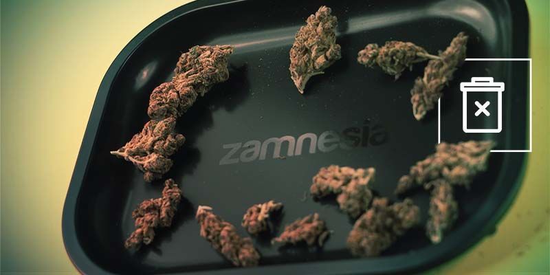 Wirf Popcorn-Buds Nicht Weg! Wirf Popcorn-buds Nicht Weg!