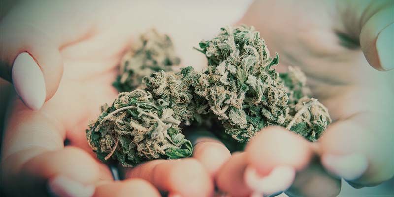 Was Sind Popcorn-Buds? Was Sind Popcorn-Buds?