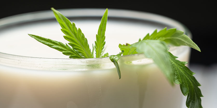 Vor Dem Training Vor dem Training