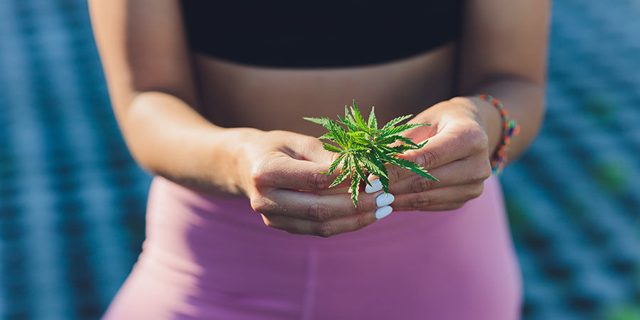 Weed Und Sport Weed und Sport