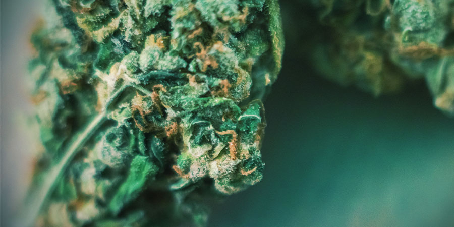 Das Aussehen Verrät Eine Menge DAS AUSSEHEN VERRÄT EINE MENGE