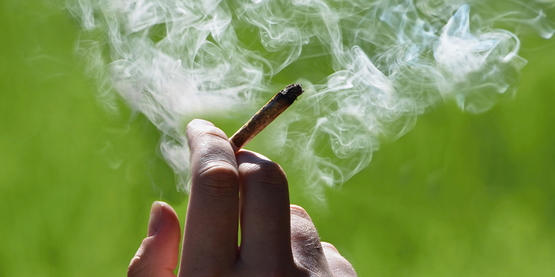 Kann man männliche Cannabispflanzen rauchen?