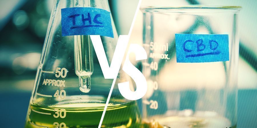 THC Und CBD: Worin Besteht Der Unterschied? THC Und CBD: Worin Besteht Der Unterschied?