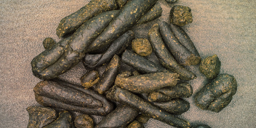 Was Ist Charas? Was ist Charas?