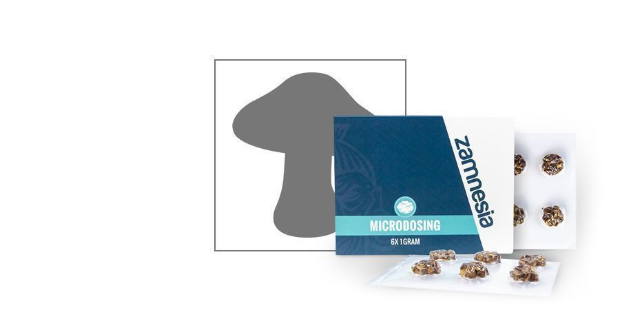Microdosing https://www.zamnesia.de/34-smartshop/458-microdosing