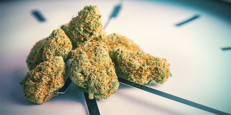 Wie Lange Hält Ein Weed-High An? WIE LANGE HÄLT EIN WEED-HIGH AN?