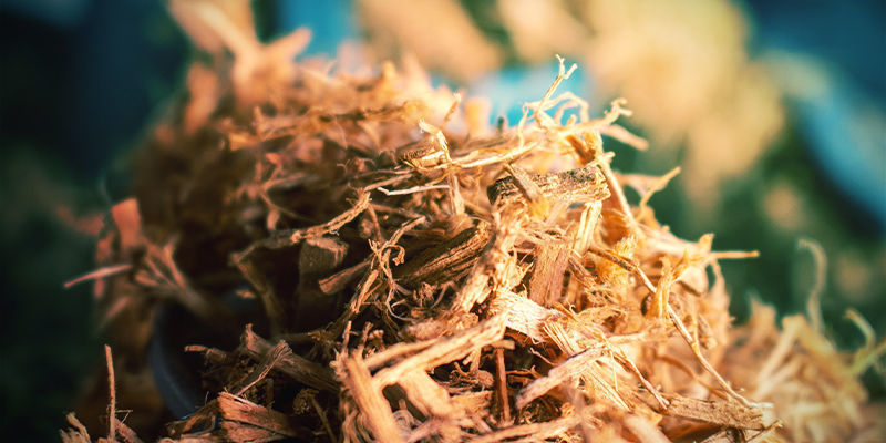 Clavo Huasca Clavo Huasca