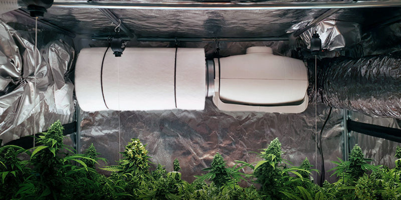 Wie Gut Entfernen Kohlefilter Den Geruch?