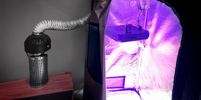 Außerhalb Der Growbox