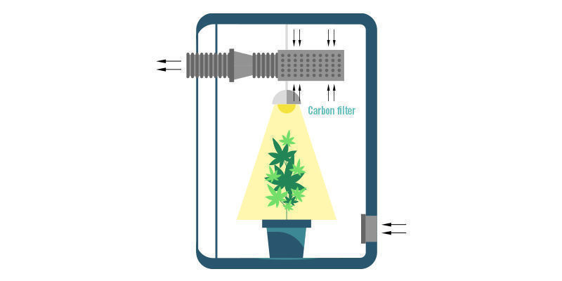 Wo In Der Growbox Sollte Ein Kohlefilter Platziert Werden?