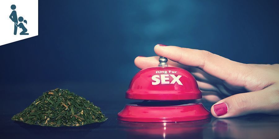 Die Effekte Von Damiana Auf Deine Sexuelle Gesundheit Die Effekte Von Damiana Auf Deine Sexuelle Gesundheit