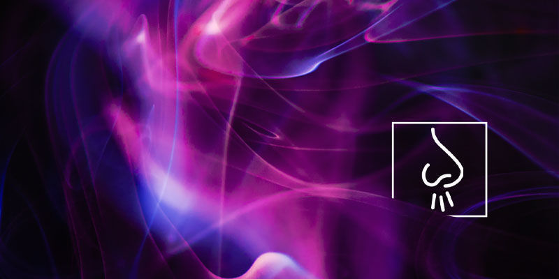 Olfaktorische Halluzinationen Verschiedene Arten von Halluzinationen: Olfaktorische Halluzinationen