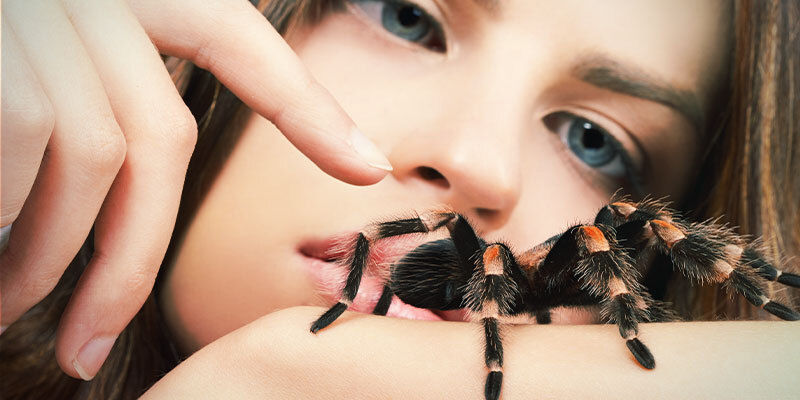 Taktile Halluzinationen Verschiedene Arten von Halluzinationen: Taktile Halluzinationen