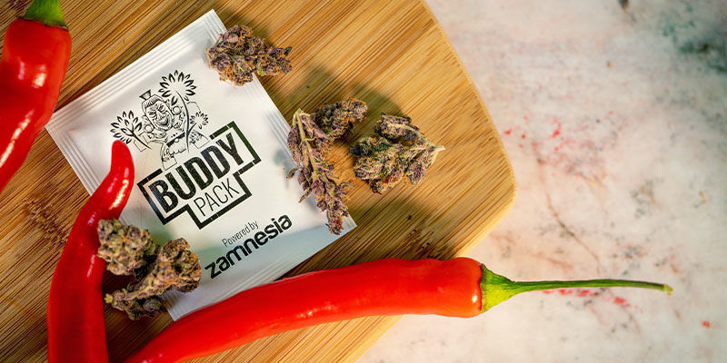 Wie Sich Chilis Als Begleitpflanzen Nutzen Lassen Wie sich Chilis als Begleitpflanzen nutzen lassen