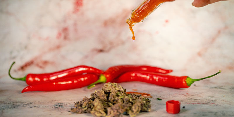 Wie Man Chilis Und Cannabis In Lebensmitteln Kombinieren Kann Wie man Chilis und Cannabis in Lebensmitteln kombinieren kann