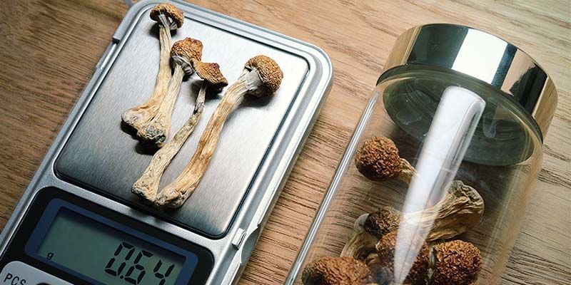 Eine Untergrundwissenschaft Eine Untergrundwissenschaft