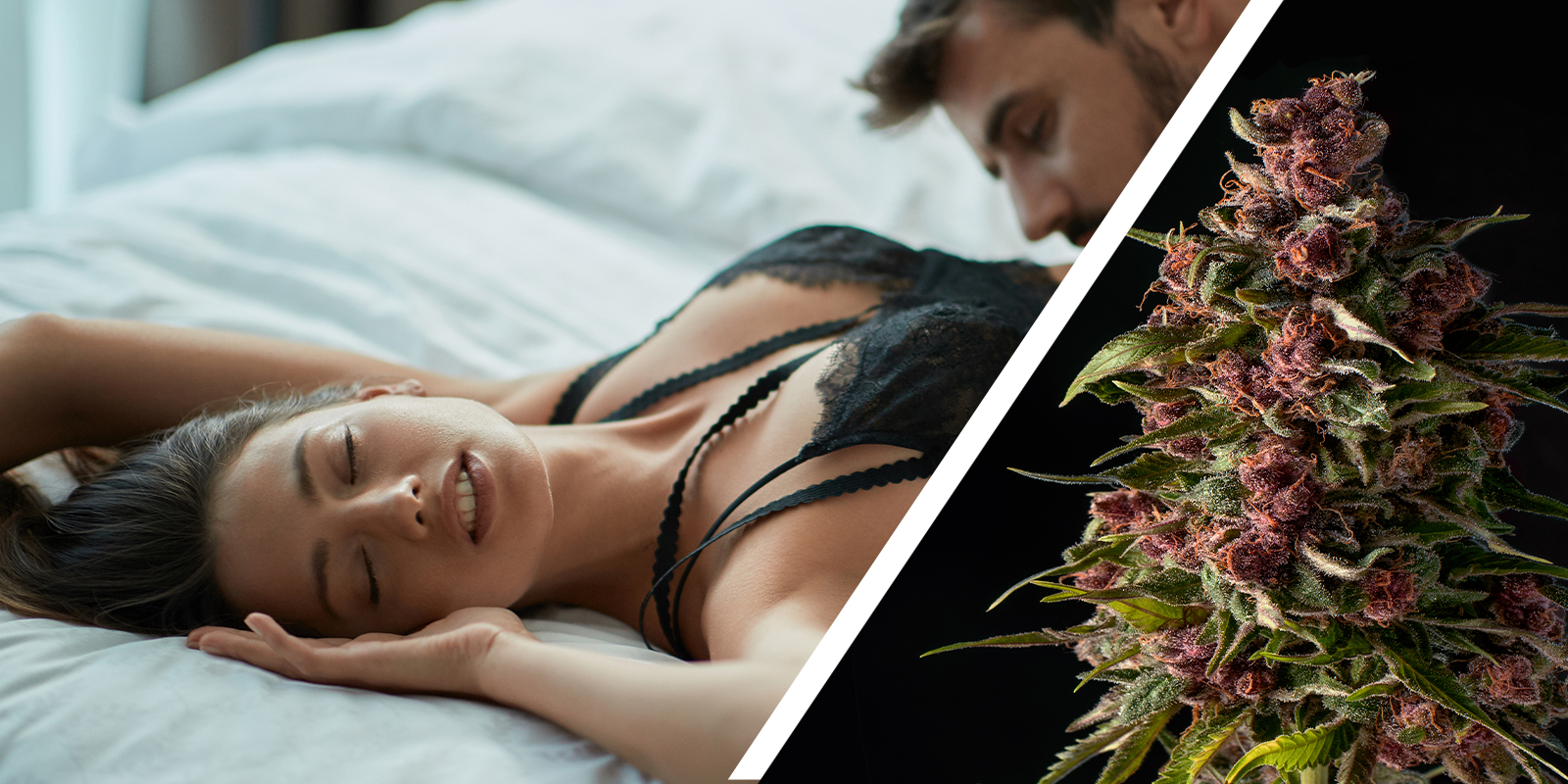 Zum Verst&auml;rken von Ber&uuml;hrung und k&ouml;rperlicher Sensibilit&auml;t: Der sensory awakening