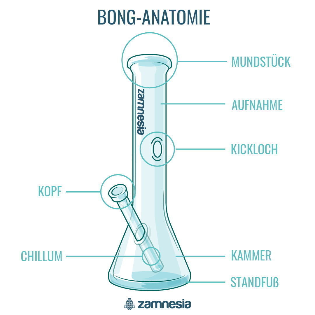 Bong-Anatomie