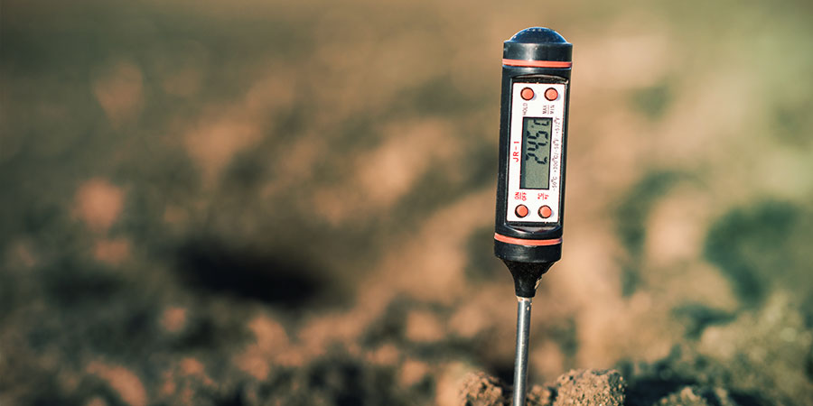 Cannabis pH Cannabis pH