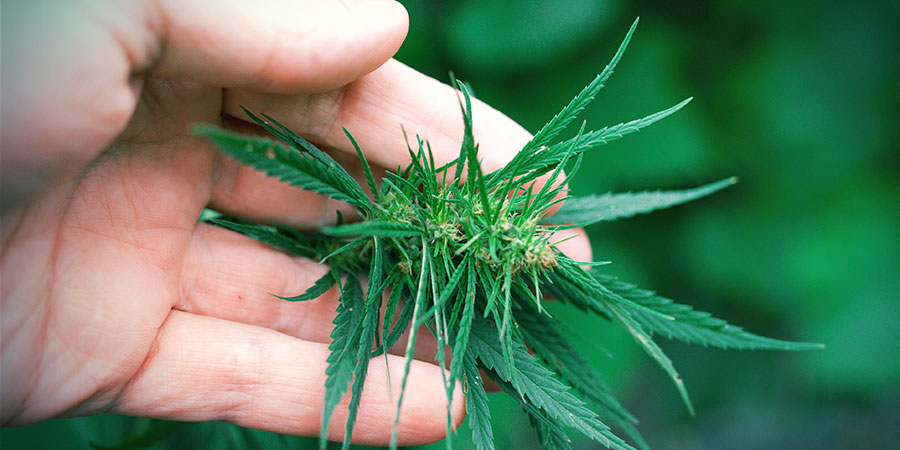 Supercropping Supercropping