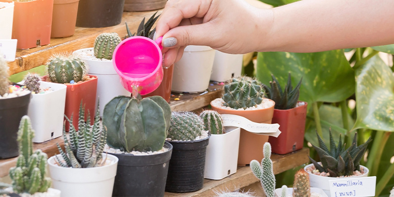 Gießen, Licht und Temperatur