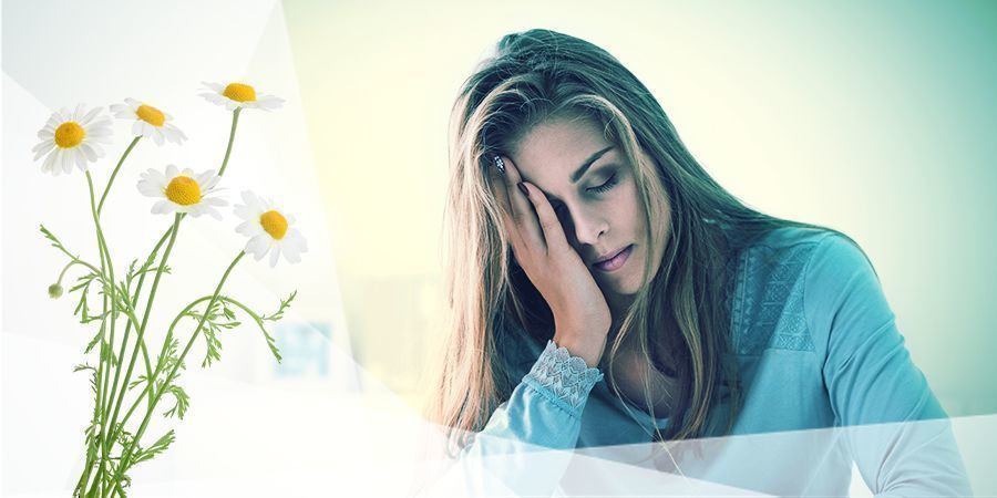 Kamille Zum Entspannen Und Schlafen Kamille Zum Entspannen Und Schlafen