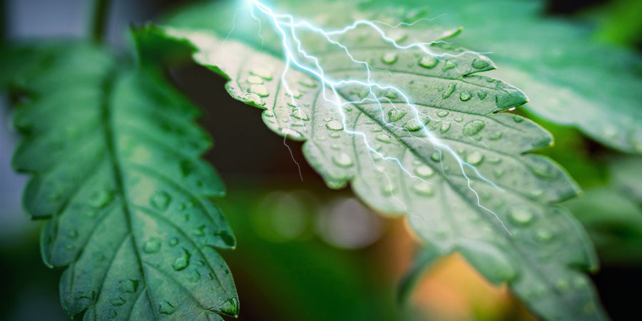 Humidity And High Temperatures Humidity And High Temperatures