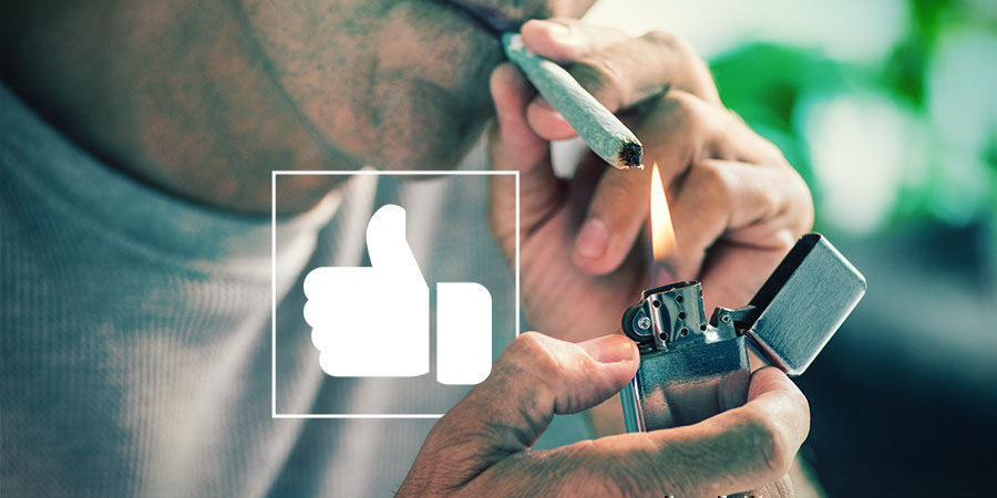 DIE RECHTE DES BAUMEISTERS